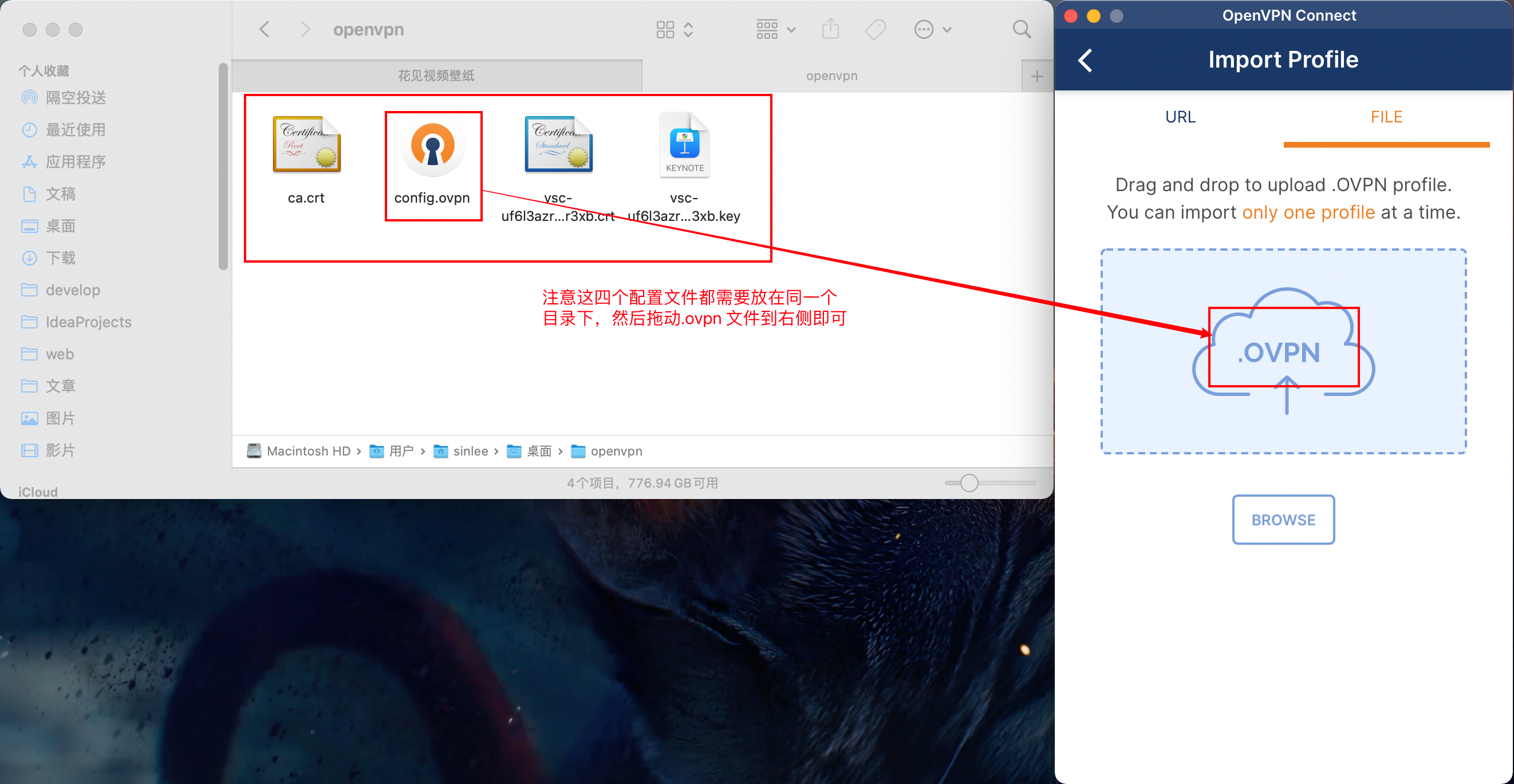 image-20220125140954839